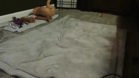 Snapshot of sugacookie69 chatting on 9, 12, 2024 Suga cookie online show from 9, 12, 2024