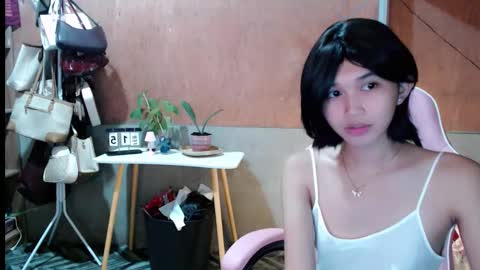 Sugar online show from 16, 2, 2026