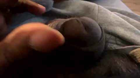 Let me be your knight that saves you online show from 7, 1, 2026