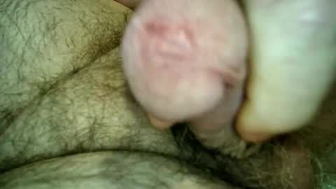 Samenspender online show from 15, 3, 2026