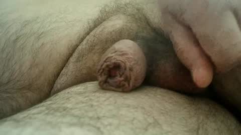 Snapshot of sugus56 chatting on 20, 7, 2026 Samenspender online show from 20, 7, 2026