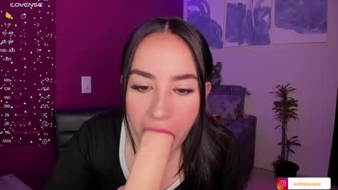 Snapshot of sulmatevans_ chatting on 5, 12, 2024 Diana online show from 5, 12, 2024