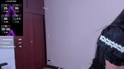 Snapshot of sumeragi_cat chatting on 13, 12, 2024 Nicolle online show from 13, 12, 2024