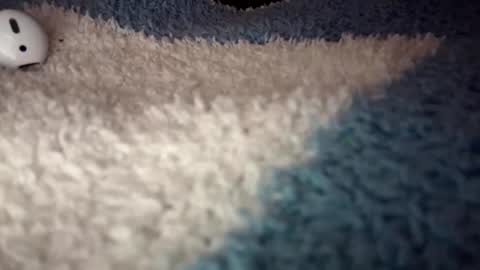 Sofie online show from 9, 9, 2025