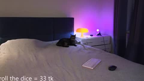 Amy online show from 2, 5, 2026