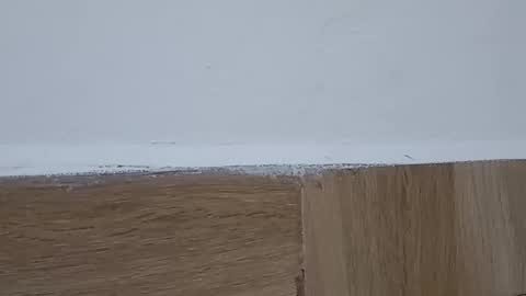 Annie online show from 6, 10, 2025