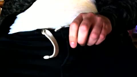 Snapshot of superstuntman1 chatting on 10, 2, 2025 superstuntman1 online show from 10, 2, 2025