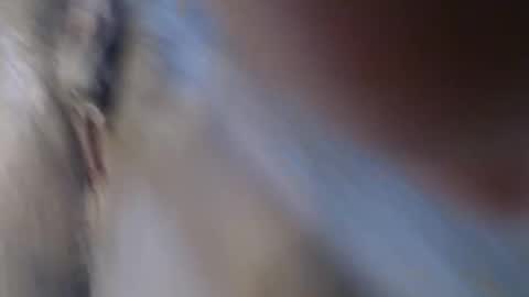 Snapshot of suzyblack4 chatting on 22, 3, 2026 Suzy online show from 22, 3, 2026