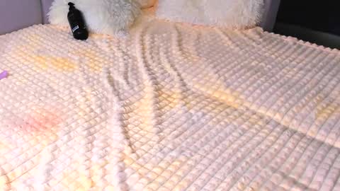 Alice online show from 18, 9, 2025