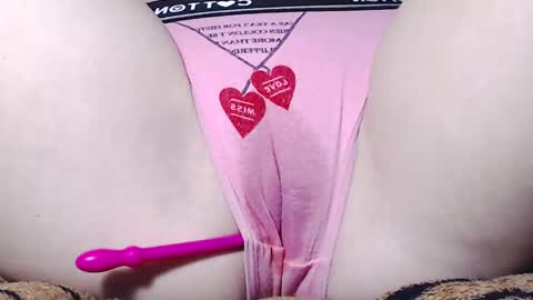 Kitten online show from 5, 3, 2025