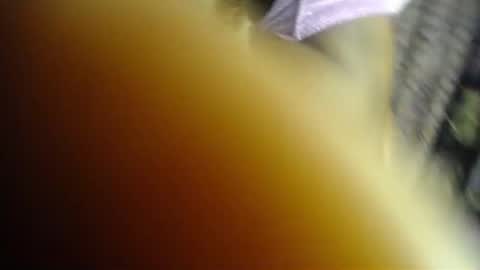 Kush online show from 22, 6, 2026