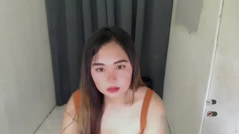 LAIKA online show from 3, 12, 2024