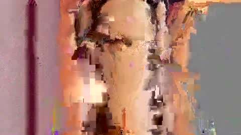          online show from 15, 7, 2026