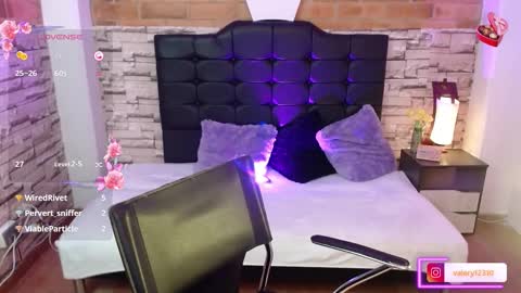 Snapshot of sweet_valery21 chatting on 21, 2, 2025 valery online show from 21, 2, 2025