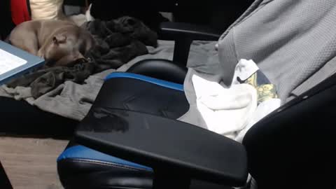 Snapshot of sweetgesus chatting on 6, 11, 2025 sweetgesus online show from 6, 11, 2025