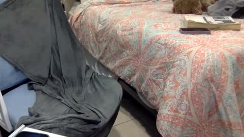 WeAim2PZzz online show from 20, 2, 2025