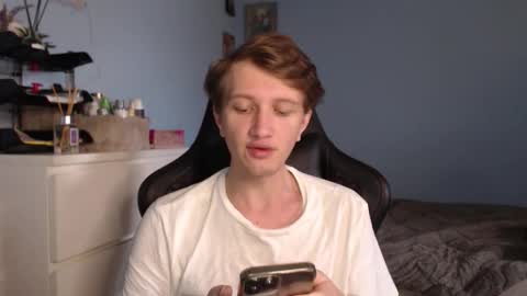 Cat online show from 8, 2, 2026