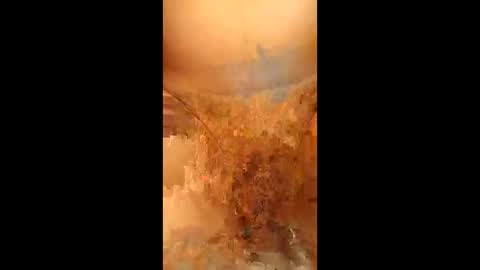 Snapshot of swiri123 chatting on 28, 2, 2026 swiri123 online show from 28, 2, 2026