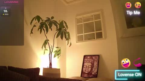 switchienickie online show from 25, 6, 2026