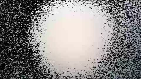 Snapshot of syd666 chatting on 28, 3, 2026 subfordomme online show from 28, 3, 2026