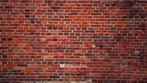 subfordomme online show from 10, 5, 2026