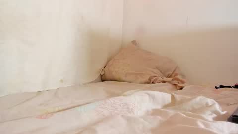 Greg online show from 26, 9, 2025