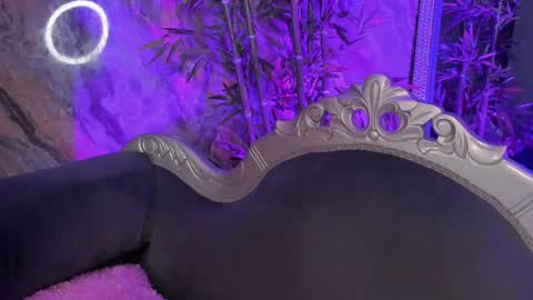 Snapshot of sydney_miller_ chatting on 1, 4, 2026 Sydney online show from 1, 4, 2026