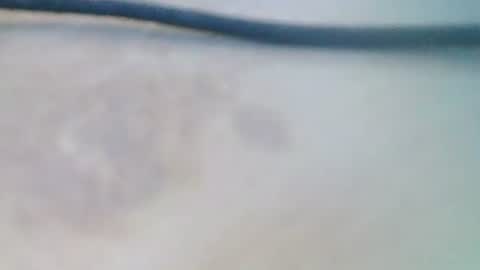 syrius57920 online show from 5, 12, 2024