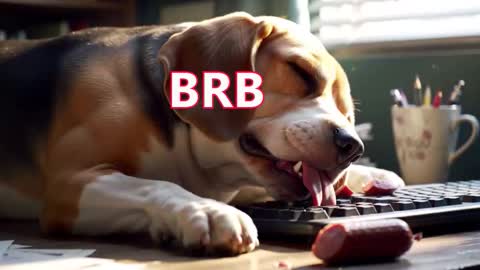 Simon online show from 13, 3, 2026