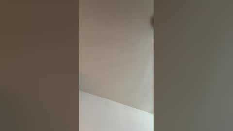 t954127 online show from 27, 3, 2026