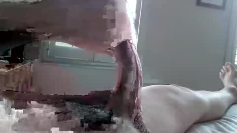 Tactful1 online show from 3, 4, 2026