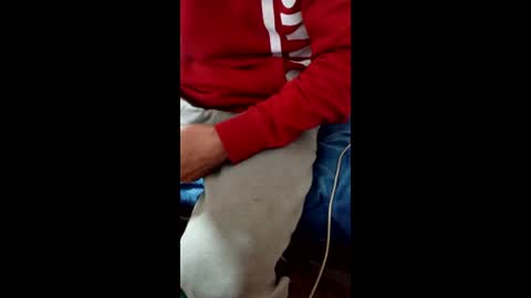 Taitotoito online show from 16, 1, 2026