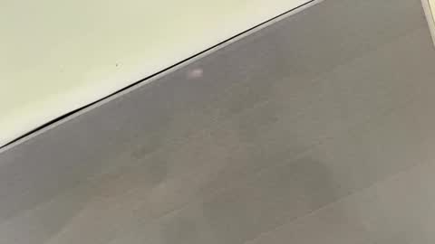 Snapshot of talianavega chatting on 1, 11, 2025 tali online show from 1, 11, 2025