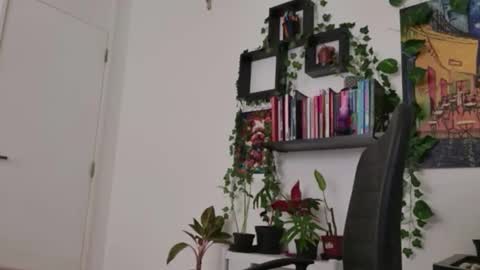 Tali Majid online show from 16, 2, 2026