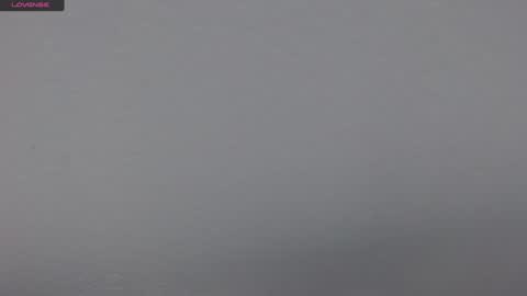 Tamara online show from 8, 2, 2025