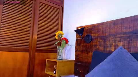    online show from 17, 12, 2025