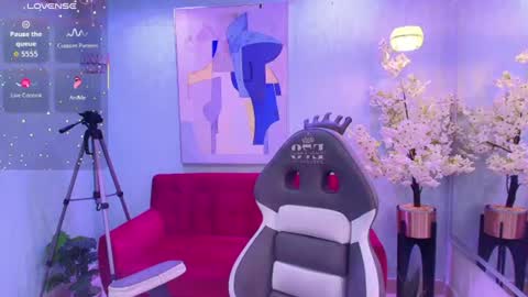 Tammy online show from 23, 7, 2026