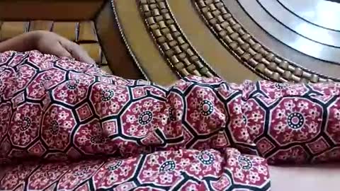 taniya_roy4628 online show from 3, 5, 2026