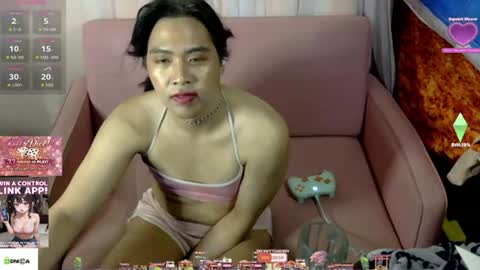 TashaKai online show from 4, 8, 2026