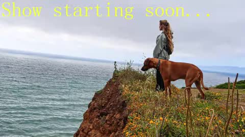 TATUM  ALL MY LINKS  online show from 2, 2, 2025