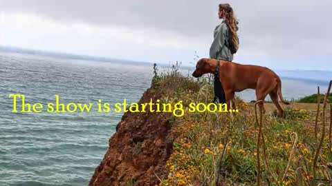 TATUM  ALL MY LINKS  online show from 2, 12, 2025