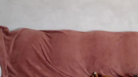 Taya online show from 14, 9, 2025