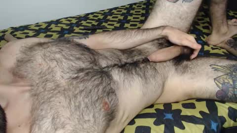 Taylor online show from 11, 1, 2026