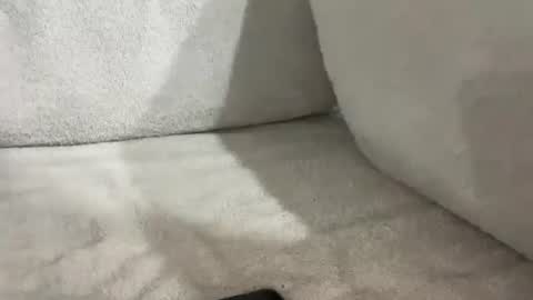 tbaexox online show from 16, 11, 2025