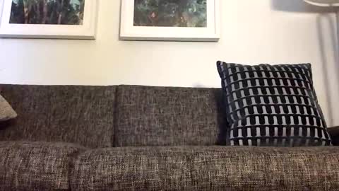 Tbiz82 online show from 21, 3, 2026