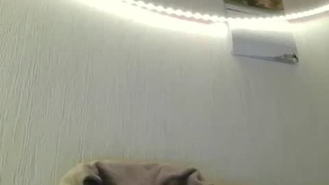 Peter online show from 8, 7, 2026