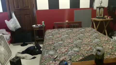 terdy2366 online show from 4, 12, 2024