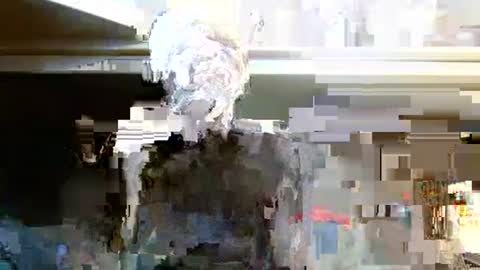 terdy2366 online show from 7, 10, 2025