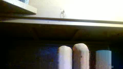 terdy2366 online show from 15, 10, 2025