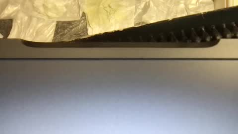 Terence online show from 9, 11, 2025